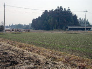 vۉw