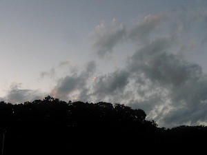 2009年11月2日夕