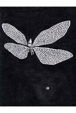 NO.j_018 価格￥15,000 サイズ：25.1×27.0cm