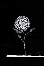 NO.j_050 価格￥7,000