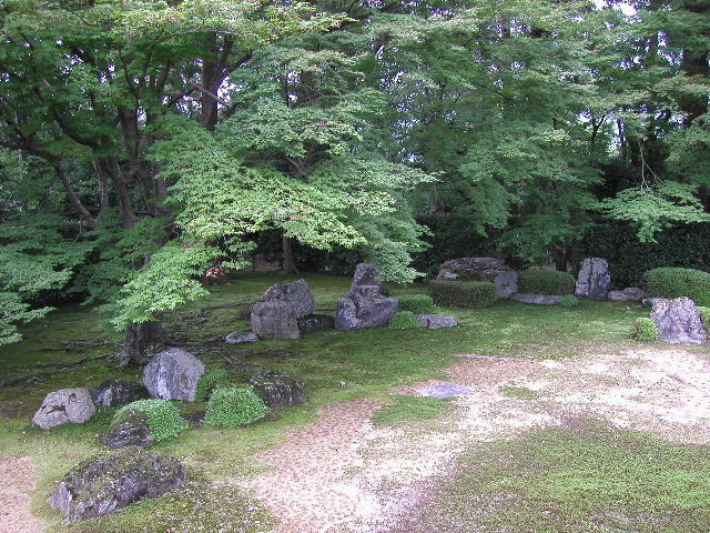 緑のグラデーション