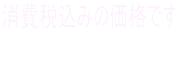 消費税込みの価格です