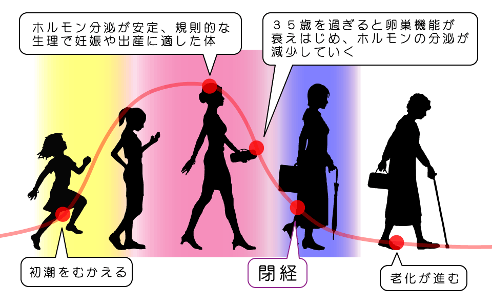 更年期とエストロゲンの関係