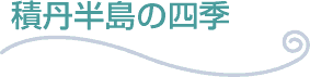 ϒO̎lG