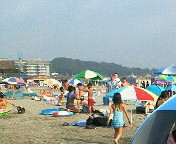 diary_p007.jpg(16525 byte)