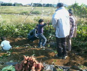diary_p013.jpg(20265 byte)