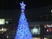 diary_p023.jpg(13305 byte)