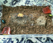 breeding08_p36.jpg(21343 byte)