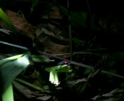field08_p10.jpg(10512 byte)