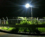 field_p012.jpg(13514 byte)