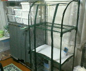 topic_3_p002.jpg(16447 byte)