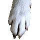 �������߁@��񂭁@�݂Ă���