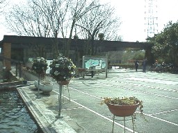 �ԂƗ΂̑��k��