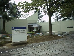 skނ玑ّSi
