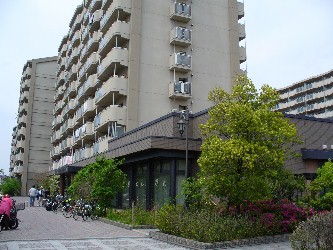 suI}ف@2006.5.6