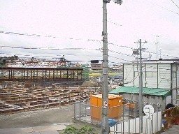 Hgs}?H991003