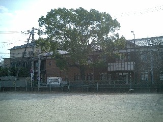 図書館 佐井 寺