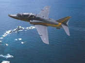 hawk02.jpg