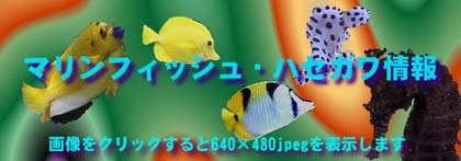 }tBbVnZK̃S