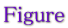 �t�B�M���A