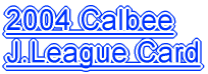 2004 Calbee J.League Card