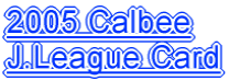 2005 Calbee J.League Card