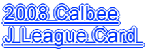 2008 Calbee J League Card