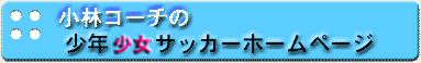 �^�C�g���o�i�[