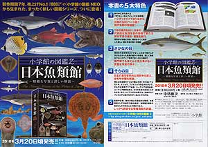 日本魚類館パンフ1