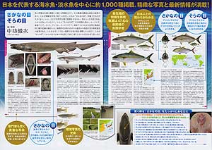 日本魚類館パンフ2