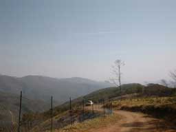 Cu
