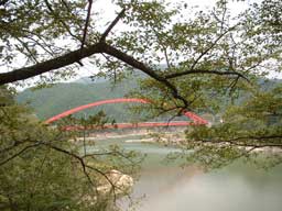 炢ĂTN