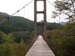 苴