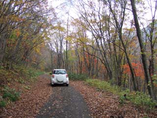 DSCF2805