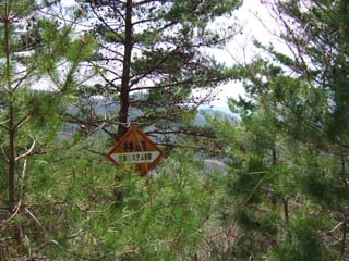 DSCF2840