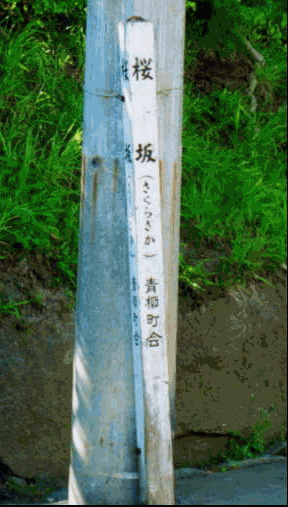 桜坂
