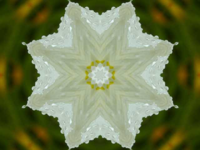 ؋Q