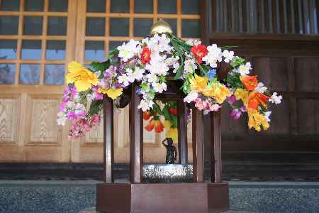 sakura05/d0626-45