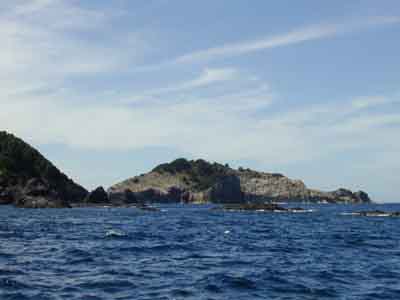 �D���蔒��