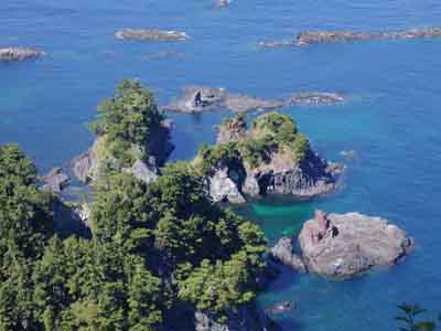 �W�]���蔒��