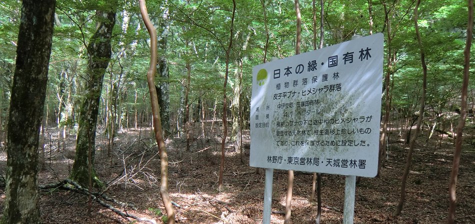 �q���V������