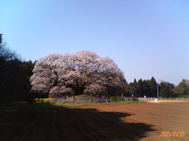 �����̗l�q