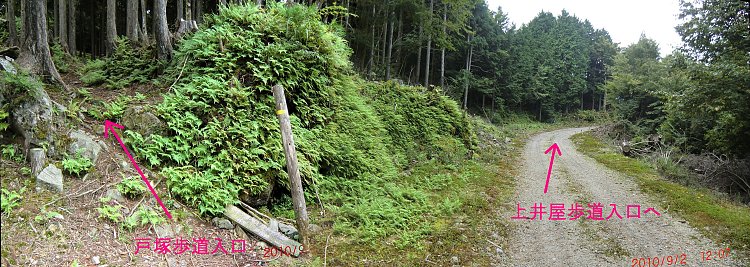 �˒˕�������