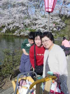 高田公園観桜会