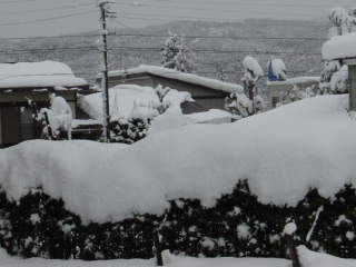 雪景色
