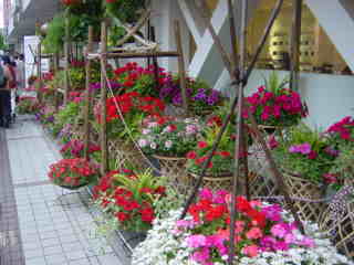 街角の花