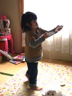 Wiiを手に入れた!