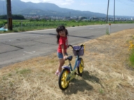 高台から新井市街を