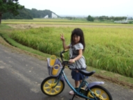 サイクリングロード