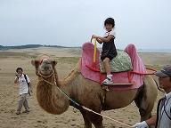 ラクダに乗って